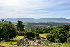 Villapalacios-Cueva-Negra-018