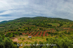 Villapalacios-Ermita-de-San-Cristóbal-Vistas-058