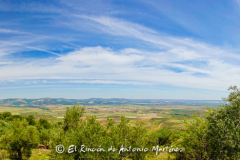 Villapalacios-Fuente-El-Miguel-017