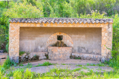Villapalacios-Fuente-El-Miguel-060