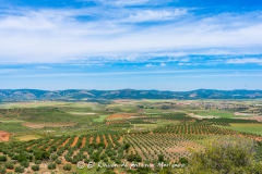 Villapalacios-Fuente-El-Miguel-064