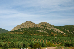Villapalacios-Los-Pizorros-022