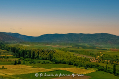 Villapalacios-Mirador-de-la-Glorieta-067-Editar