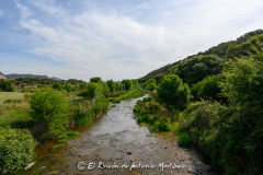 Villapalacios-Río-Guadalmena-002