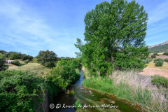 Villapalacios-Río-Guadalmena-006