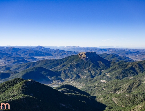PICO DE LA SARGA