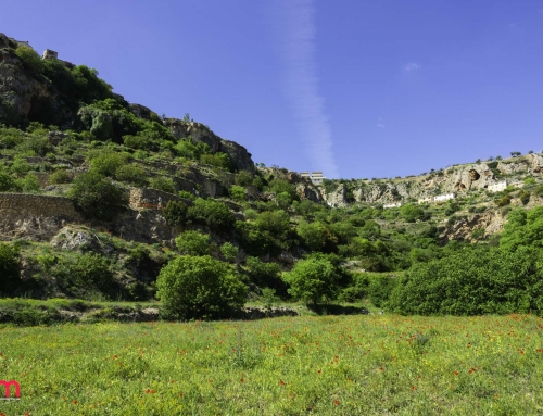 GEOLODÍA EN LETUR