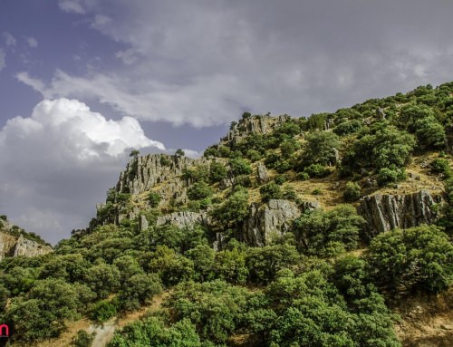 RESERVA NATURAL DEL ESTRECHO DEL HOCINO